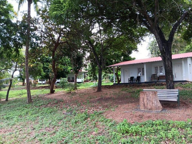 Aligama Cottage Talakolawela Exterior foto