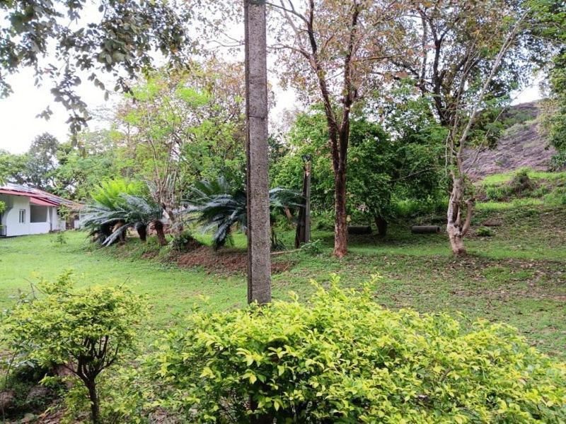 Aligama Cottage Talakolawela Exterior foto