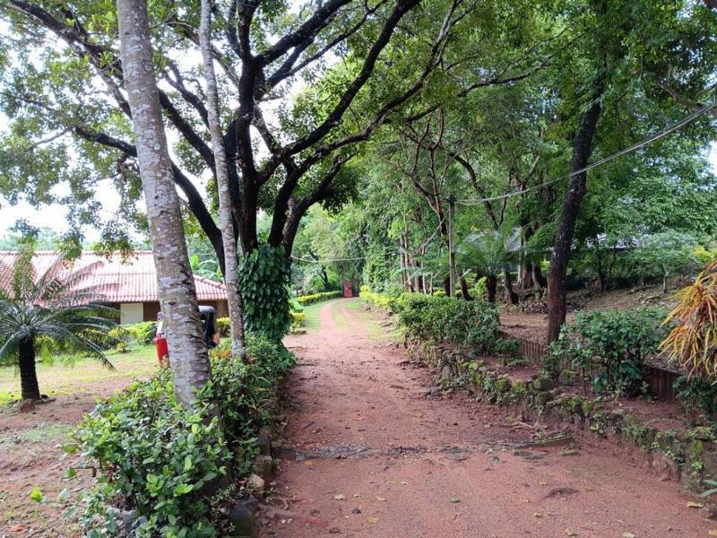Aligama Cottage Talakolawela Exterior foto